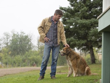 Dennis Quaid stars in "A Dog's Purpose."