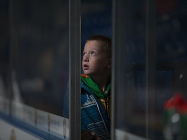 A young Saskatoon Blades fan watches the opening announcements during the game against the Brandon Wheat Kings at SaskTel Centre in Saskatoon, January 20, 2017.