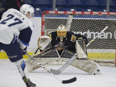 Saskatoon Blades forward Michael Farren takes a shot on the Brandon Wheat Kings net at SaskTel Centre in Saskatoon, January 20, 2017.