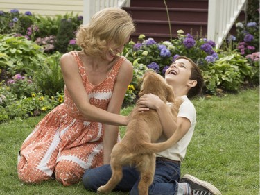 Juliet Rylance and Bryce Gheisar star in "A Dog's Purpose."