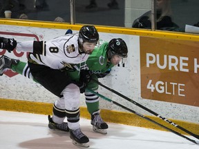 Carson Stadnyk (right) and his Huskie men's hockey team are ranked second nationally.