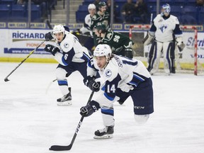 SASKATOON,SK--FEBRUARY  15/2017-0215-SPORTS-BLADES HOCKEY- Saskatoon Blades forward Jesse Shynkaruk (#14) moves the puck as Blades defence Mark Rubinchik skates behind (#6)  at the SaskTel Centre in Saskatoon, SK on Wednesday, February 15, 2017. (Saskatoon StarPhoenix/Kayle Neis)