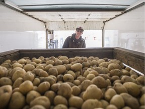 Ryan Mirasty an employee of the Flying Dust Market Garden from Meadow Lake helps remove a crate of donated potatoes that is going to the Saskatoon Food Bank in Saskatoon, SK on Tuesday, February 21, 2017. (Saskatoon StarPhoenix/Kayle Neis)