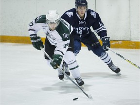 University of Saskatchewan Huskies forward Andrew Johnson scored in Saturday's 3-2 win over the Mount Royal University Cougars at Rutherford Rink.