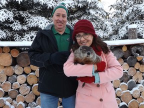 Whelan Woody with owner and handler Shanno Lidster (right) and Jack Hill, who Woody chose as Whelan Bay's mayor for Groundhog Day.