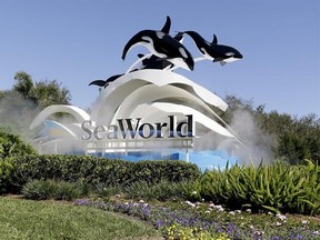 In this Tuesday, Jan. 31, 2017 photo, the entrance to Sea World is seen, in Orlando, Fla. Orlando&#039;s top tourist destinations, Walt Disney World, Universal Orlando, SeaWorld and several resorts are in legal battles about how much they&#039;re worth with the local property appraiser and tax collector. (AP Photo/John Raoux)