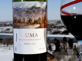 Cuma organic Malbec is James Romanow's Wine of the Week.