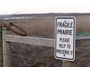 A sign warns people they are entering an ecologically sensitive area in Saskatoon's Northeast Swale in this November 2015 photo. (RICHARD MARJAN/The StarPhoenix)
