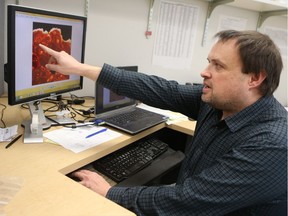 Canadian Light Source researcher Ian Coulthard, who has helped Lakehead and U of S researchers discover source of lead found in the remains of Napoleonic era British naval personnel, studies images of a bone fragment containing 75.19 ppm of lead in his office in Saskatoon on March 14, 2017. (Michelle Berg / Saskatoon StarPhoenix)