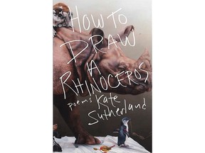 Book cover for How to Draw a Rhinoceros, a book of poems by Kate Sutherland.