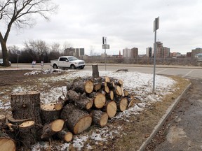 SASKATOON, SK - April 24, 2017 - A plot of land on the corner of 18th Street East and Sask Crescent East is photographed after all of it's trees were cut down, including a very old one, in Saskatoon on April 24, 2017. (Michelle Berg / Saskatoon StarPhoenix)