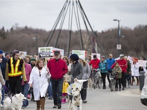 Scientist Beth Dolmage (white coat) marches with a crowd during the Stand Up for Science march in Saskatoon, April 22, 2017.