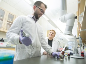 Researchers Lisa Kalynchuk (right)  and Kyle Brymer (left) study the antidepressant potential of a brain protein. (photo by David Stobbe for the University of Saskatchewan) (for Saskatoon StarPhoenix Young Innovators series, June 2017) ORG XMIT: SK