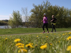 Two women go for a morning run along the Meewasin trail beside a field of dandelions in Saskatoon on May 15, 2017.