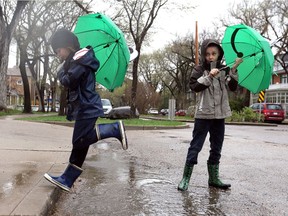Maddi Thompson, 6, and Julian Thompson, 8, play in a puddle, with matching frog umbrellas, on their walk home for lunch in Saskatoon on May 8, 2017.