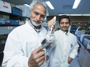 University of Saskatchewan Professor Vikram Misra, left, and veterinary microbiology PhD candidate Arinjay Banerjee ham it up with a finger puppet bat. They have found some clues that may unlock the secret behind bats' "super immunity" to deadly respiratory diseases such as SARS. (photo by David Stobbe for the University of Saskatchewan) (for Saskatoon StarPhoenix Young Innovators series, May 2017) ORG XMIT: SK