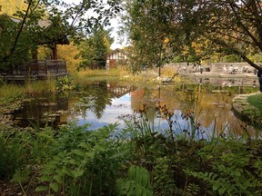 Garden Park at Innovation Place (Jackie Bantle photo)