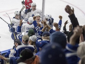 The Toronto Maple Leafs, and fans, celebrate a goal during a pre-season NHL game last October in Saskatoon against the Ottawa Senators.