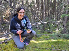 University of Saskatchewan student Mélanie Jean studies mysterious mosses in the boreal forest. (photo by Alexandre Truchon-Savard)