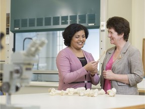 Sanjukta Choudhury (left) and Ingrid Pickering study old bones in unprecedented detail. (photo by David Stobbe for the University of Saskatchewan)