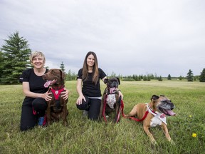 Darlene Chalmers (left) and Colleen Dell are researchers focusing on therapy animals in Saskatoon. (Saskatoon StarPhoenix/Matt Smith)