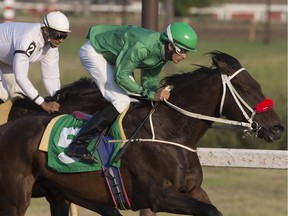 SASKATOON,SK--JULY 28 2017- 0729 SPORTS HORSERACE - Naim Samaroo rides Gold River Rising past Anderson Stephan on I've Got Action during the second heat of the races at Marquis Downs in Saskatoon, SK on Friday, July 28, 2017. (Saskatoon StarPhoenix/Kayle Neis)
Kevin Hill, Saskatoon StarPhoenix