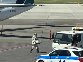 A beekeeper works to clear a large swarm of bees away from an airport vehicle at the Saskatoon Airport on July 16, 2017