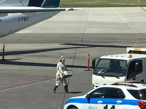 A beekeeper works to clear a large swarm of bees away from an airport vehicle at the Saskatoon Airport on Sunday July 16, 2017.