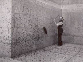 Saskatchewan cities did not escape the grasshopper scourge in the 1930s. In this photo from Aug. 11, 1938, a worker brushes hoppers from the walls of the Legislative Building in Regina. (UNIVERSITY OF SASKATCHEWAN ARCHIVES AND SPECIAL COLLECTIONS) (for Saskatoon StarPhoenix History Matters column, Aug. 1, 2017)