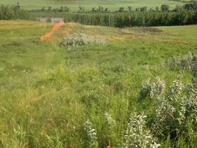 The site of the July 20, 2016 Husky Energy Inc. pipeline spill as it appeared on July 19, 2017 — almost exactly one year after the incident.