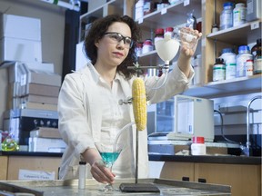 Student Leila Dehabadi puts corn at the centre of new, more efficient technology for separating water from ethanol.