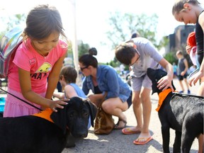 Six-year-old Zoey Unger pets Royal, a dog up for adoption, during the New Hope Dog Rescue adoption, BBQ, and garage sale at Eastview bowl in Saskatoon on august 16, 2017.