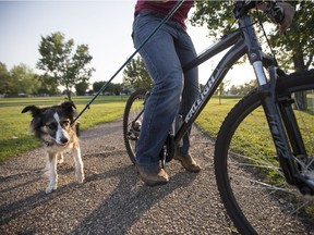 Charlie the dog walks while his human Tyler Billay rides his bike at Crocus Park in Saskatoon.