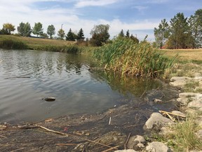 The pond in Dundonald Park from which a five-year-old boy was rushed to hospital in Saskatoon.
