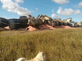 A CP Railway train derailed near Blucher early on Sept. 15, 2017. (Photo courtesy Erika Jacques)