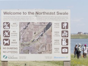 A Saskatoon city council committee endorsed a proposal Monday to ban dogs from the ecologically sensitive Northeast Swale. (KEVIN HILL/The StarPhoenix)