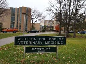 The Western College of Veterinary Medicine on the U of S campus.