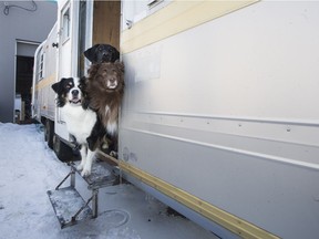 Erika (clockwise from top), Rubix and Jake get ready for their adventure to the U.S. in owners Angela Koop and Dylan Gannon's Streamline trailer.