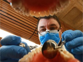 Interim Dental Clinic Director Dr. Gerry Uswak performs a mock check-up at the training clinic at the University of Saskatchewan in Saskatoon on Nov. 2, 2017.