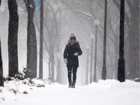 A woman is pelted by snowflakes on her walk up Spadina Crescent during a heavy snowfall Tuesday morning in Saskatoon on November 14, 2017. (Michelle Berg / Saskatoon StarPhoenix)
Michelle Berg, Saskatoon StarPhoenix