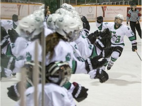 Up until this past weekend, the University of Saskatchewan Huskies women's hockey team has had plenty to celebrate this season.