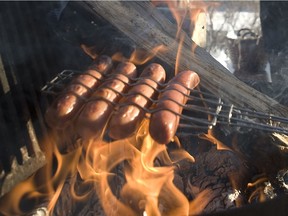 Saskatoon city council's transportation committee will consider restrictions on backyard fire pits on Monday at city hall.