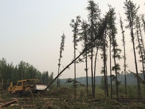 HALL LAKE, SASKATCHEWAN - Bulldozer operator Grant Merriman clears trees at Hall Lake in northern Saskatchewan on Sunday July 12, 2015. Photo by Jason Warick/StarPhoenix