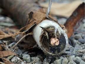 Copper cable lays on the ground beside a fence inside a BC Hydro substation in Vancouver, B.C., on  April 14, 2010.