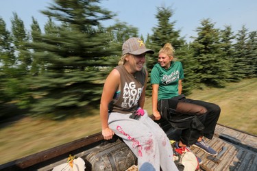 Peyton McPhee and Jade Peters ride out to the Christmas tree fields for a shift at Mason Tree Farm near Kenaston.