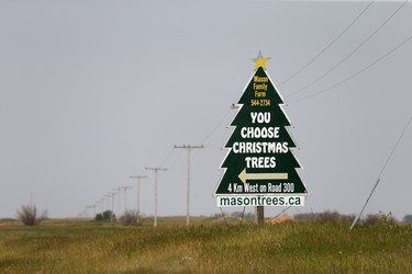 Signs for Mason Tree Farm near Kenaston can be seen on Highway 11.