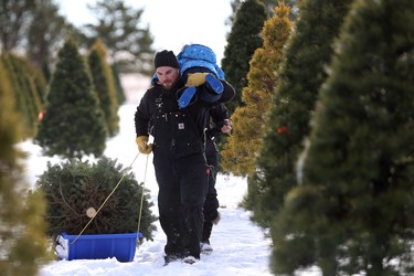 Leo Johnston carries his son Jermaine over one shoulder as he pulls their Christmas tree back to the truck at Mason Tree Farm.