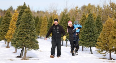 Leo, Marissa and Jermaine Johnston search for the perfect Christmas tree at Mason Tree Farm in Saskatchewan.