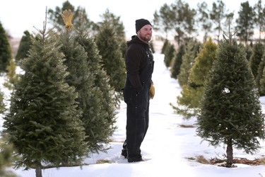 Leo Johnston claims a tree with his glove at Mason Tree Farm near Kenaston.