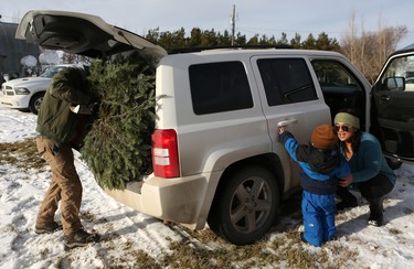 Jordan Allen stuffs his family's freshly chopped Christmas tree into the back of their Jeep at the Mason Tree Farm near Kenaston.